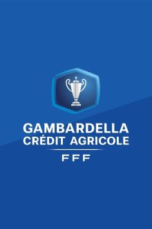 imagen: Fútbol Copa Gambardella