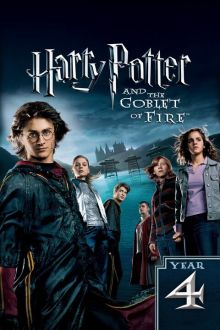 imagen: Harry Potter and the Goblet of Fire