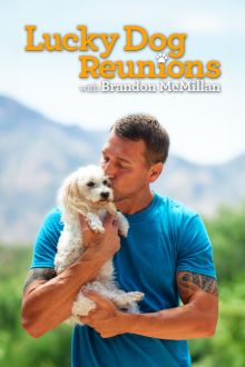 imagen: Lucky Dog: Reunions