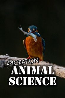 imagen: Xploration Animal Science